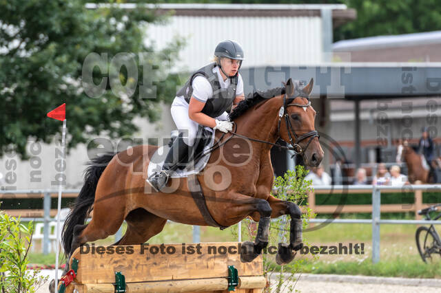 Late-Entry-Vielseitigkeit Langenfeld (06.+07.07.2020)