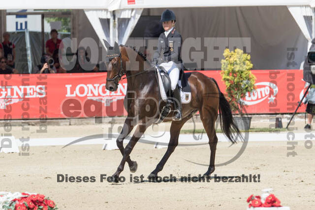 FEI European Championship Eventing 2017