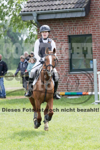 Vielseitigkeitsturnier RuFV Rheurdt