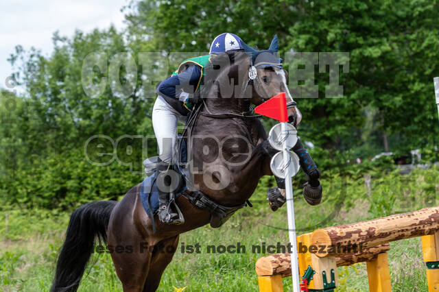 Westerstede Horse Trials (10.-13.06.2021)