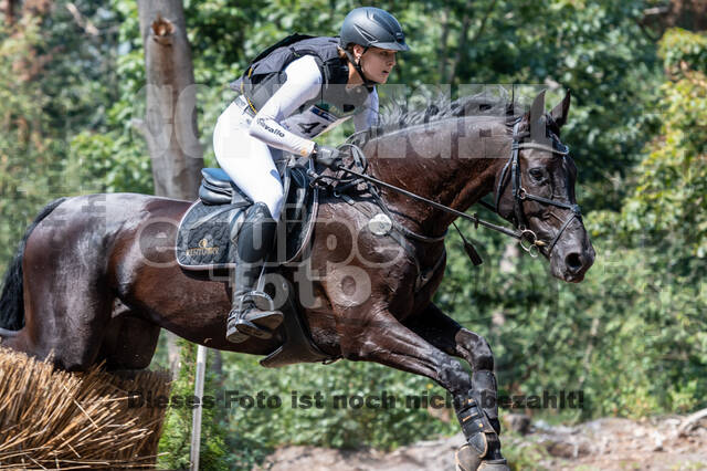 De Peelbergen (August 2020)