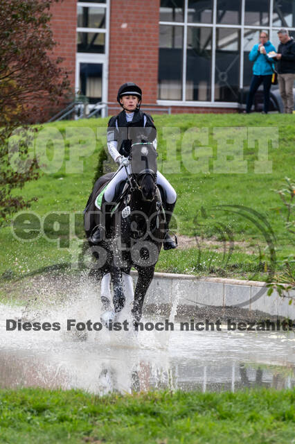 Goldene Schärpe 2020 - Pferde