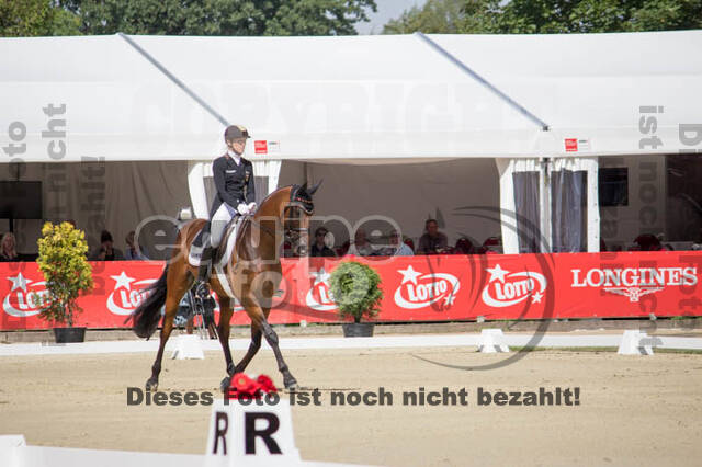 FEI European Championship Eventing 2017