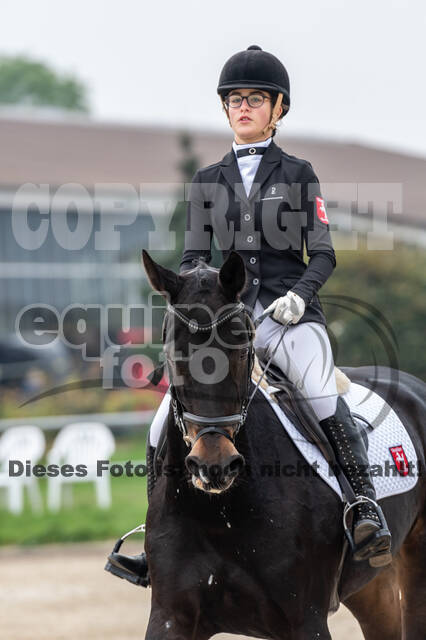 Goldene Schärpe 2020 - Pferde