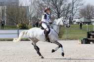 Eventing Langenfeld 2018
