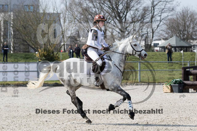 Eventing Langenfeld 2018