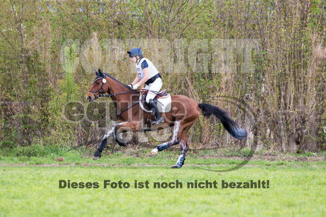 Vielseitigkeitsturnier RV Lippe-Bruch-Gahlen