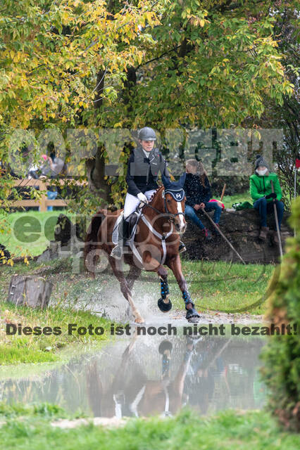 Goldene Schärpe 2020 - Pferde