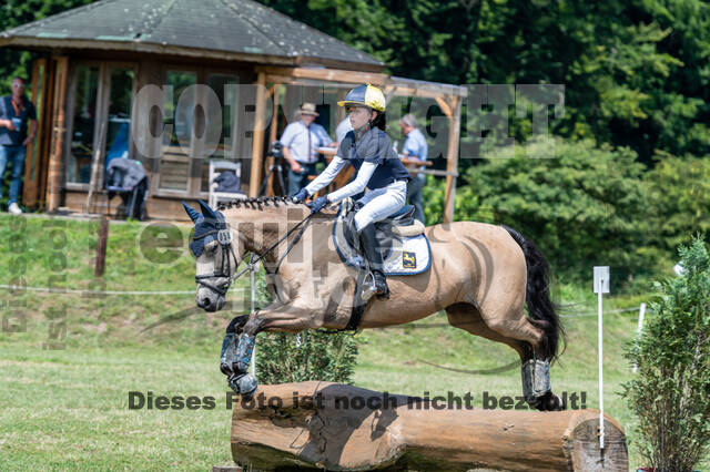 Goldene Schärpe 2021 - Ponys