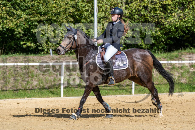 RFV Dinslaken-Hiesfeld (Herbstturnier)