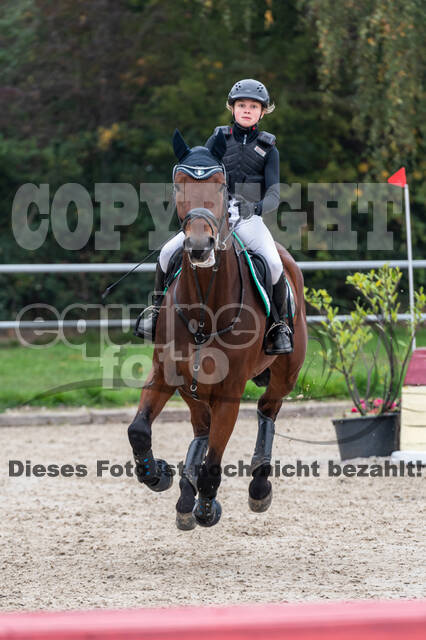 Goldene Schärpe 2020 - Pferde