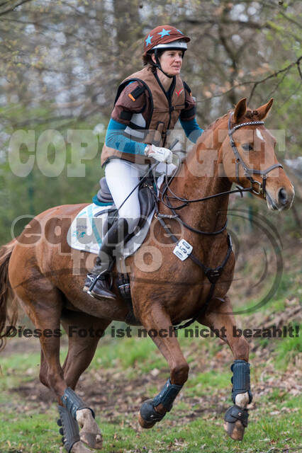 Eventing im Pferdesportzentrum Rheinland (Late Entry 14.03.2022)