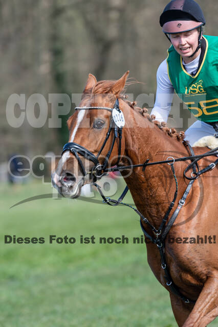 Vielseitigkeitsturnier RV Seydlitz Kamp (03.04.2022)