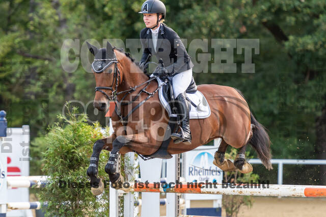 RFV Dinslaken-Hiesfeld (Herbstturnier)
