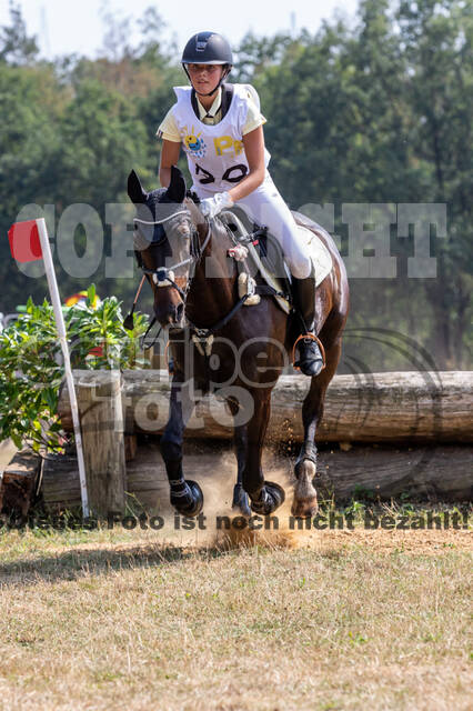 Late-Entry Vielseitigkeit Hamminkeln/Wesel (01.+02.08.2020)