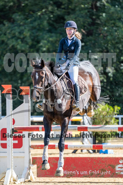 RFV Dinslaken-Hiesfeld (Herbstturnier)