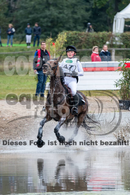 Deutsche Meisterschaft Vielseitigkeit (Luhmühlen)