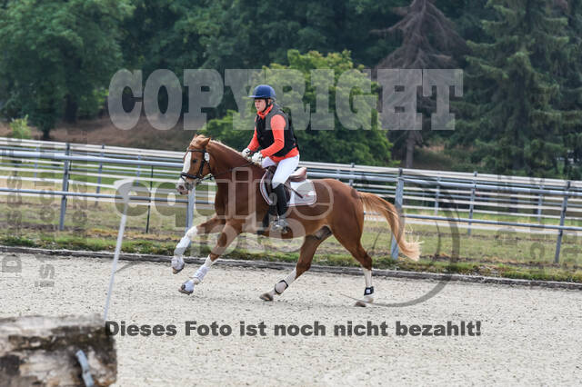 Late-Entry-Vielseitigkeit Langenfeld (11.+13./14.06.2020)