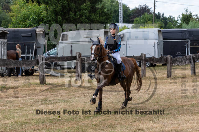 Late-Entry Vielseitigkeit Hamminkeln/Wesel (01.+02.08.2020)