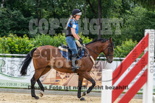 Hunter Geländetraining 10.07.2021 (Sonsbeck)