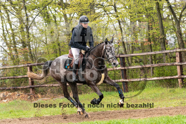 Berufsreiter Late Entry Gahlen 2021