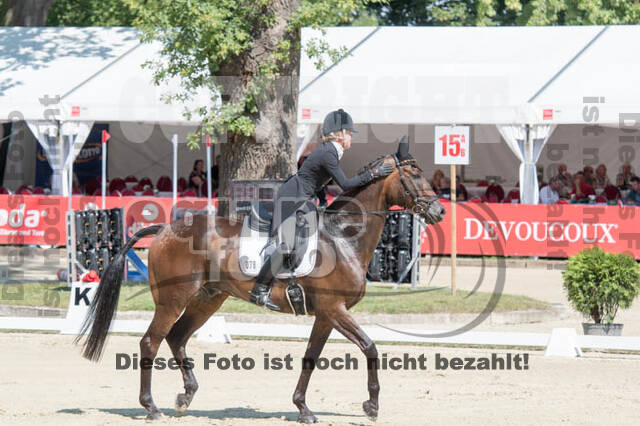 FEI European Championship Eventing 2017