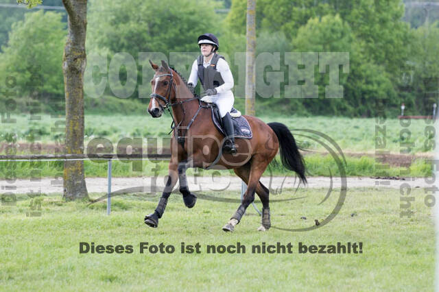 Vielseitigkeitsturnier RuFV Rheurdt