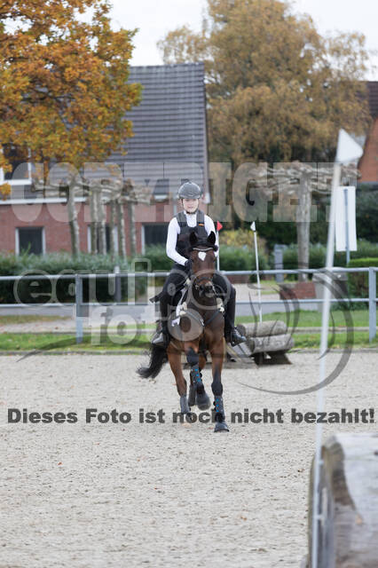 IGV Lehrgang der Sieger der Cups mit Frank Ostholt