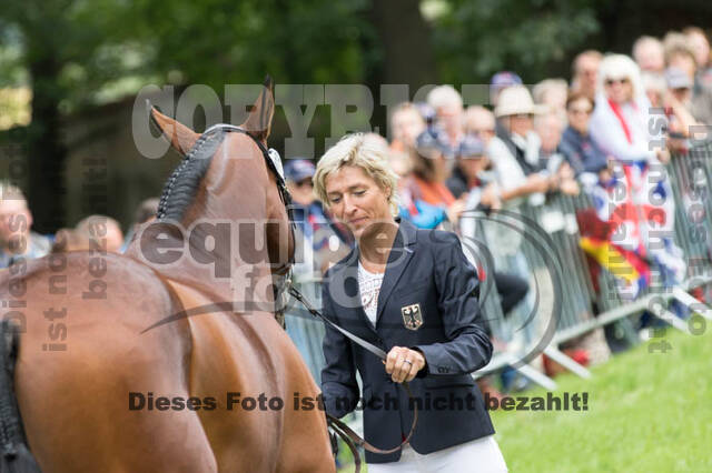 FEI European Championship Eventing 2017