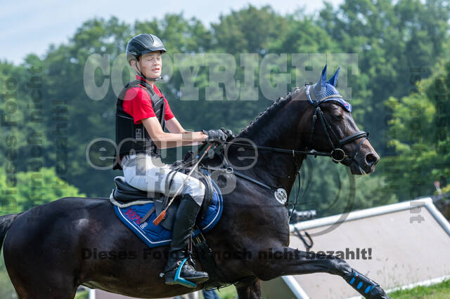 Goldene Schärpe 2021 - Ponys