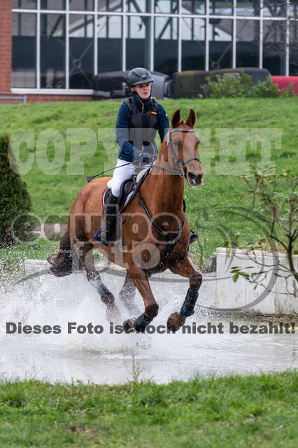 Goldene Schärpe 2020 - Pferde