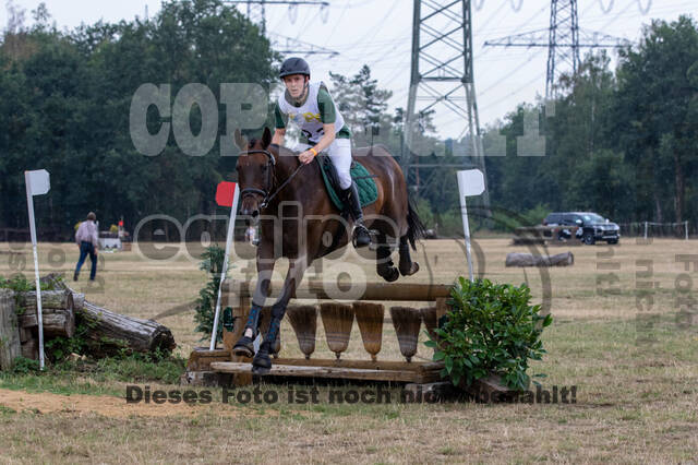 Late-Entry Vielseitigkeit Hamminkeln/Wesel (01.+02.08.2020)