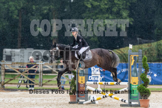 Goldene Schärpe 2021 - Ponys