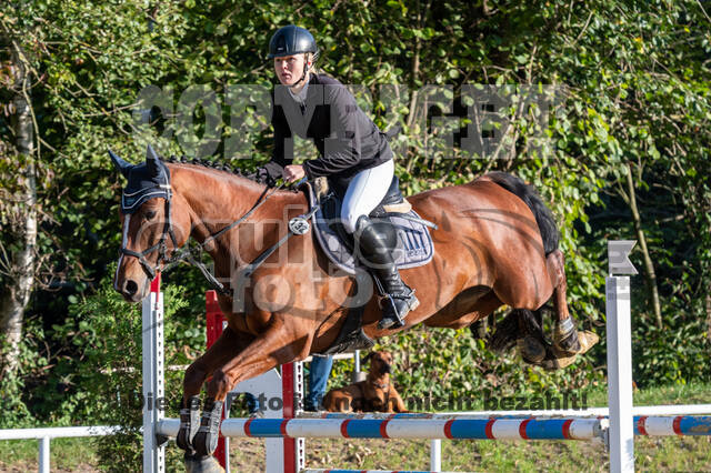 RFV Dinslaken-Hiesfeld (Herbstturnier)