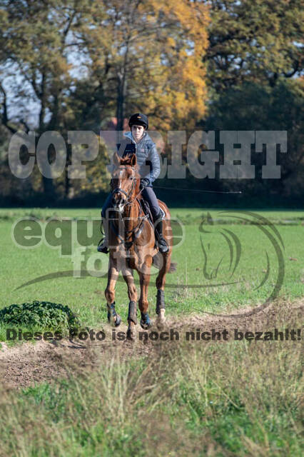 Vielseitigkeitslehrgang mit Jürg Kurbel (9.+10.11.2019)