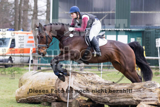 Jungpferdetag Hamminkeln