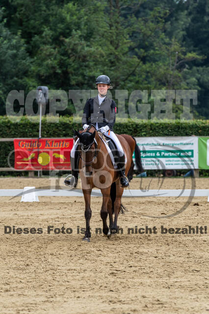 Goldene Schärpe 2021 - Ponys