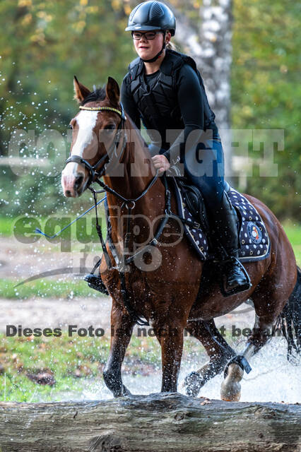 IGV Lehrgang der Sieger der Cups mit Frank Ostholt