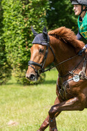 Westerstede Horse Trials 2021