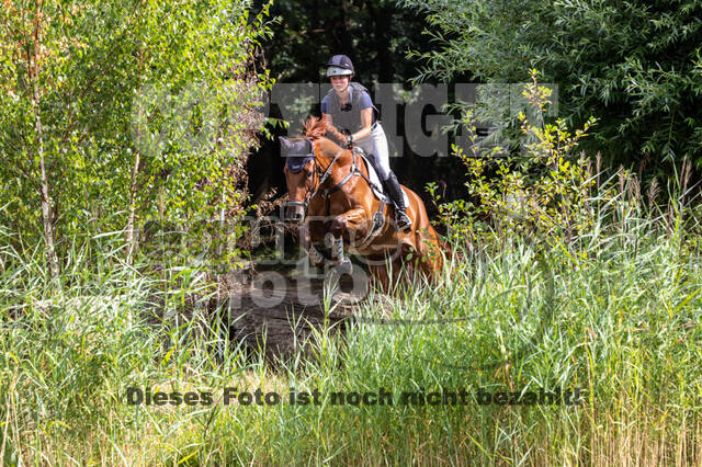 Late-Entry Vielseitigkeit Hamminkeln/Wesel (01.+02.08.2020)