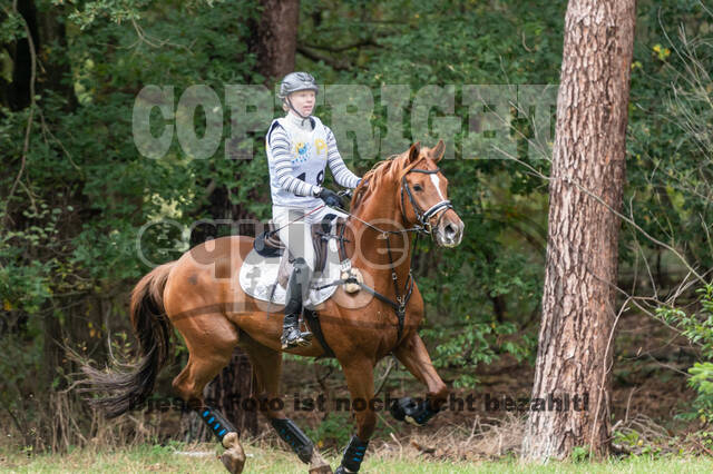 Vielseitigkeit RSV Wesel Obrighoven (26.+27.09.2020)