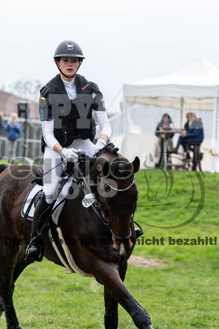 Goldene Schärpe 2020 - Pferde