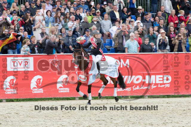 FEI European Championship Eventing 2017