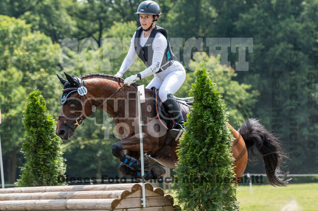 Goldene Schärpe 2021 - Ponys