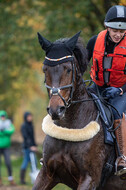 Training Bettina Hoy (01.11.2020)