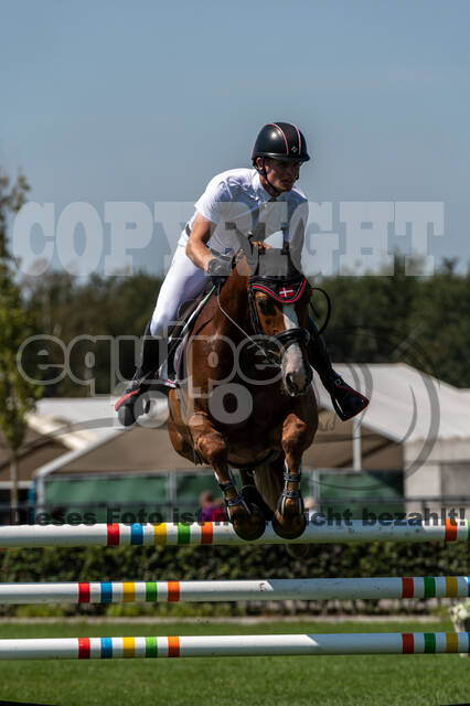 Kronenberg - De Peelbergen (August 2020)