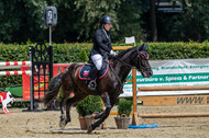 Goldene Schärpe 2021 - Ponys