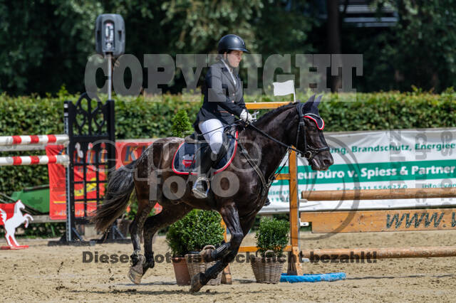 Goldene Schärpe 2021 - Ponys
