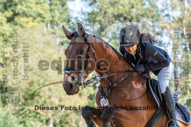 RFV Dinslaken-Hiesfeld (Herbstturnier)