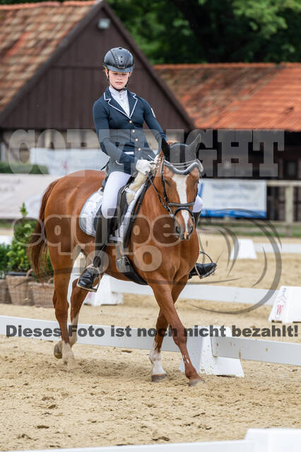 Goldene Schärpe 2021 - Ponys